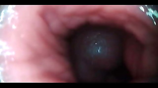Internal ejaculation Impregnation Mingle