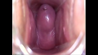 Take a look inwards