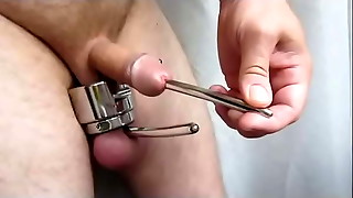 transscrotal piercing