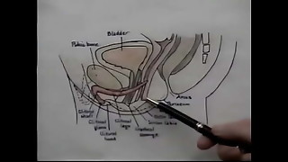 Romp Education Orgasm Instructing Flick